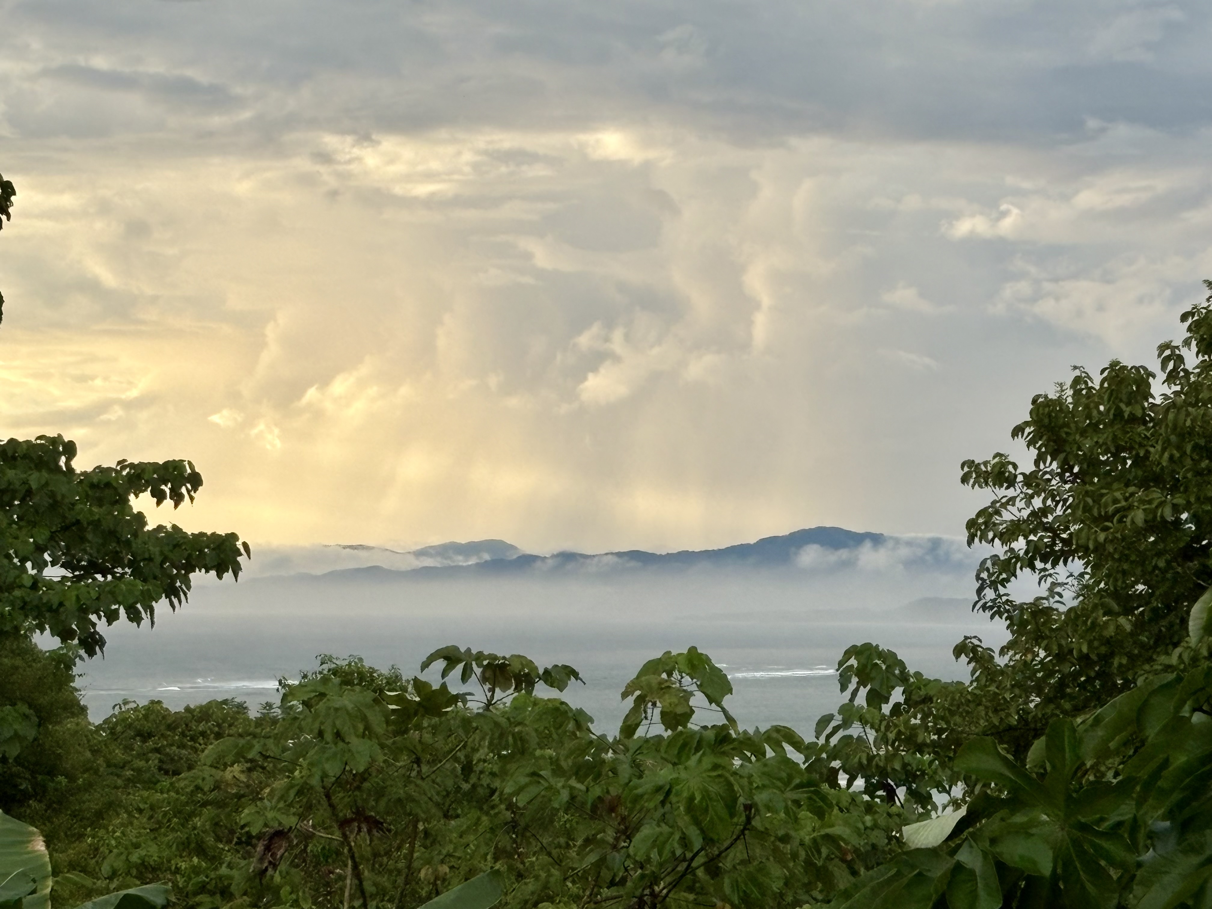 Radio Pura is currently off air